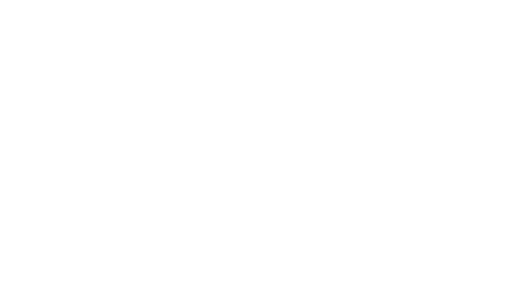 Novidesa